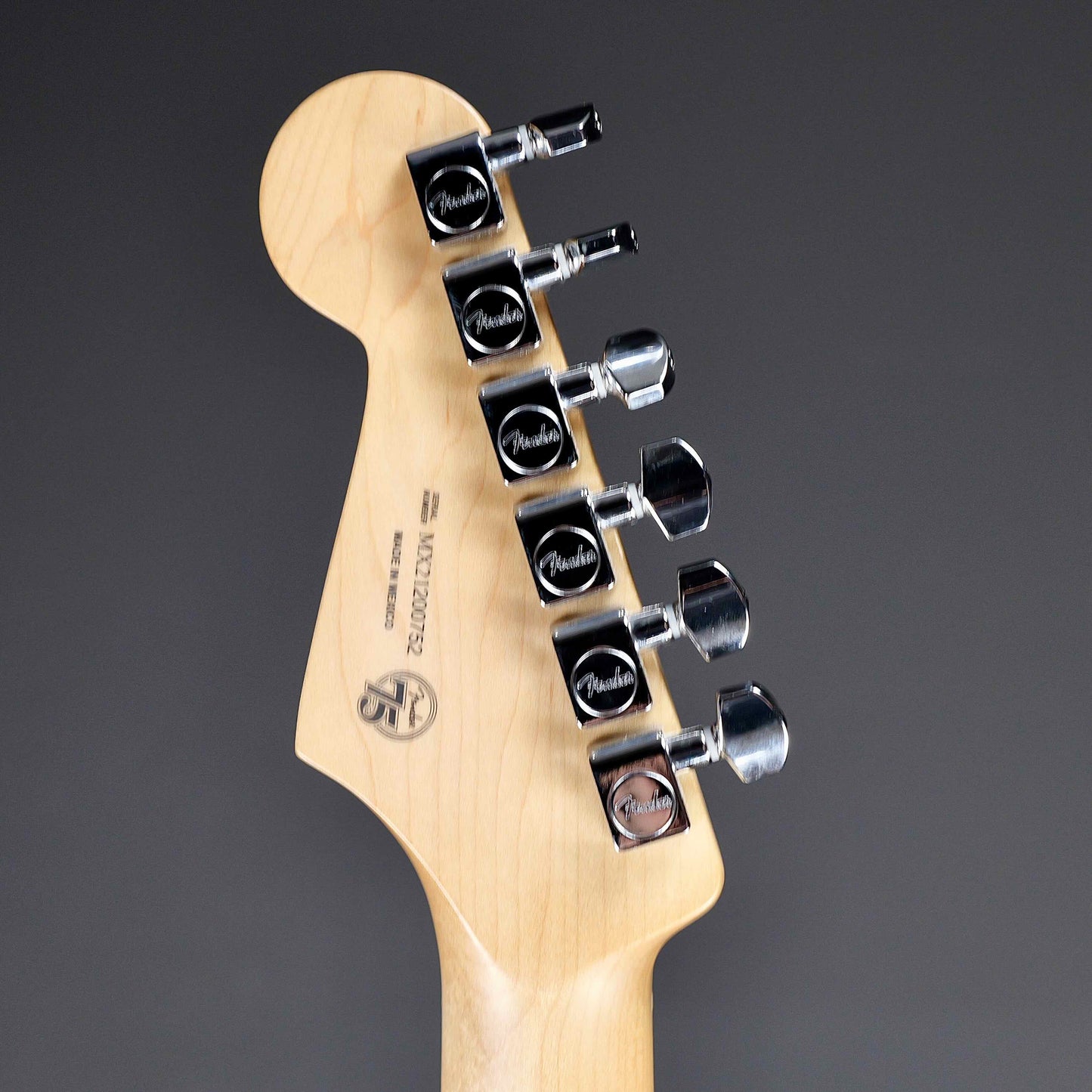 Fender Special Edition Player Stratocaster Black