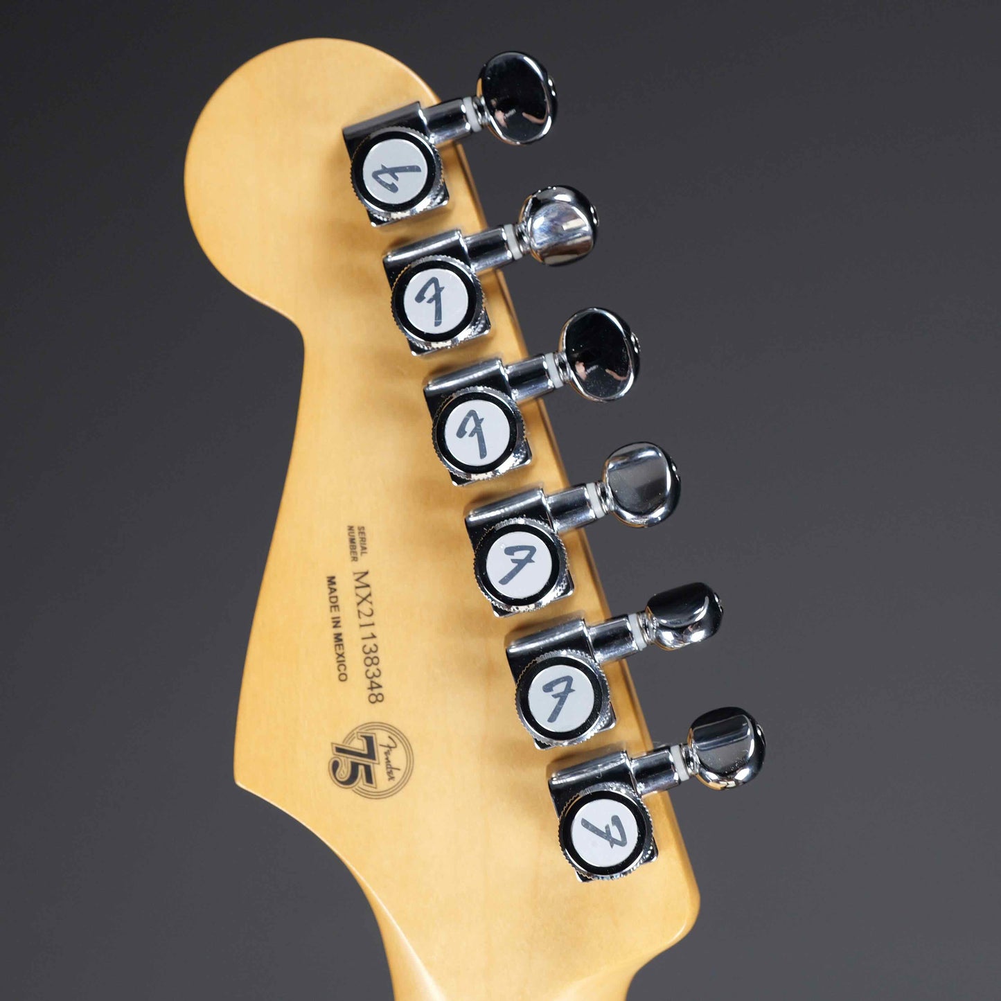 Fender Player Stratocaster Maple Fingerboard Tidepool