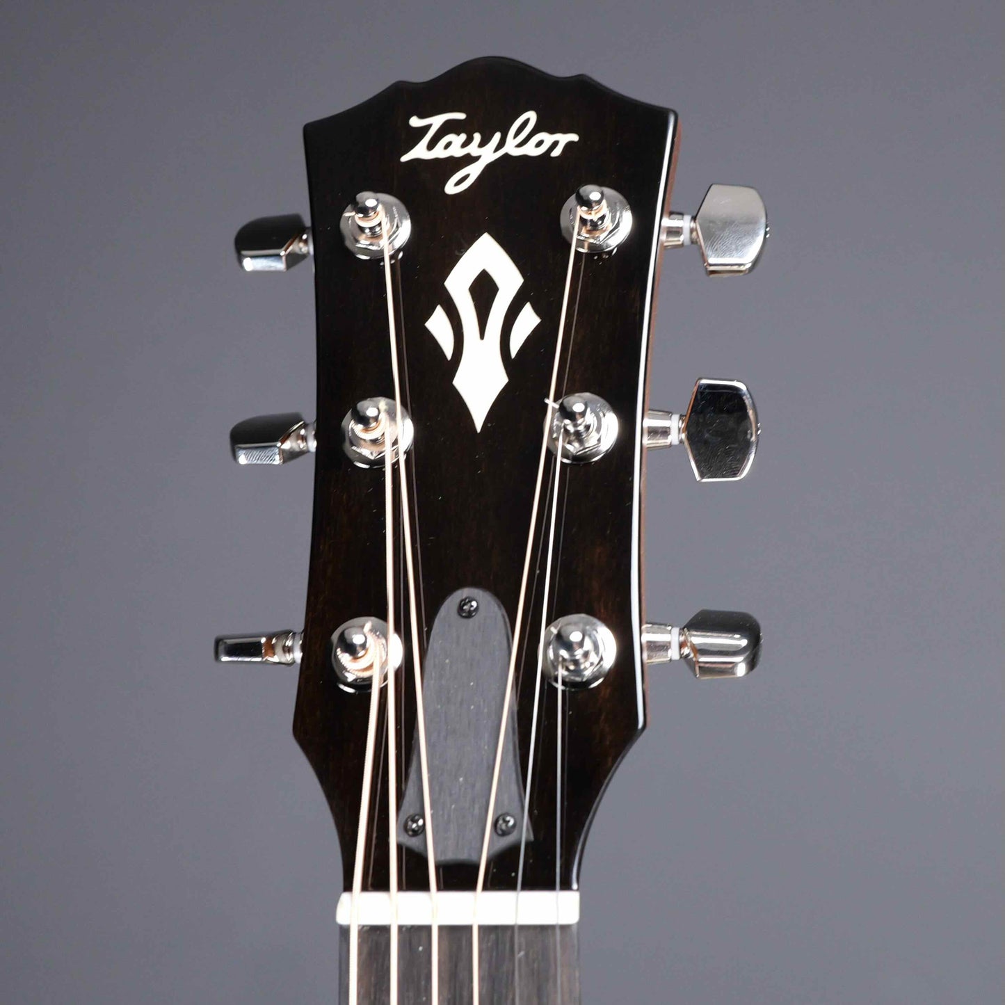 Taylor Gold Label 517e Blacktop