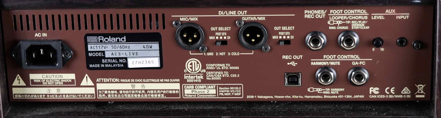 Boss Acoustic Singer Live