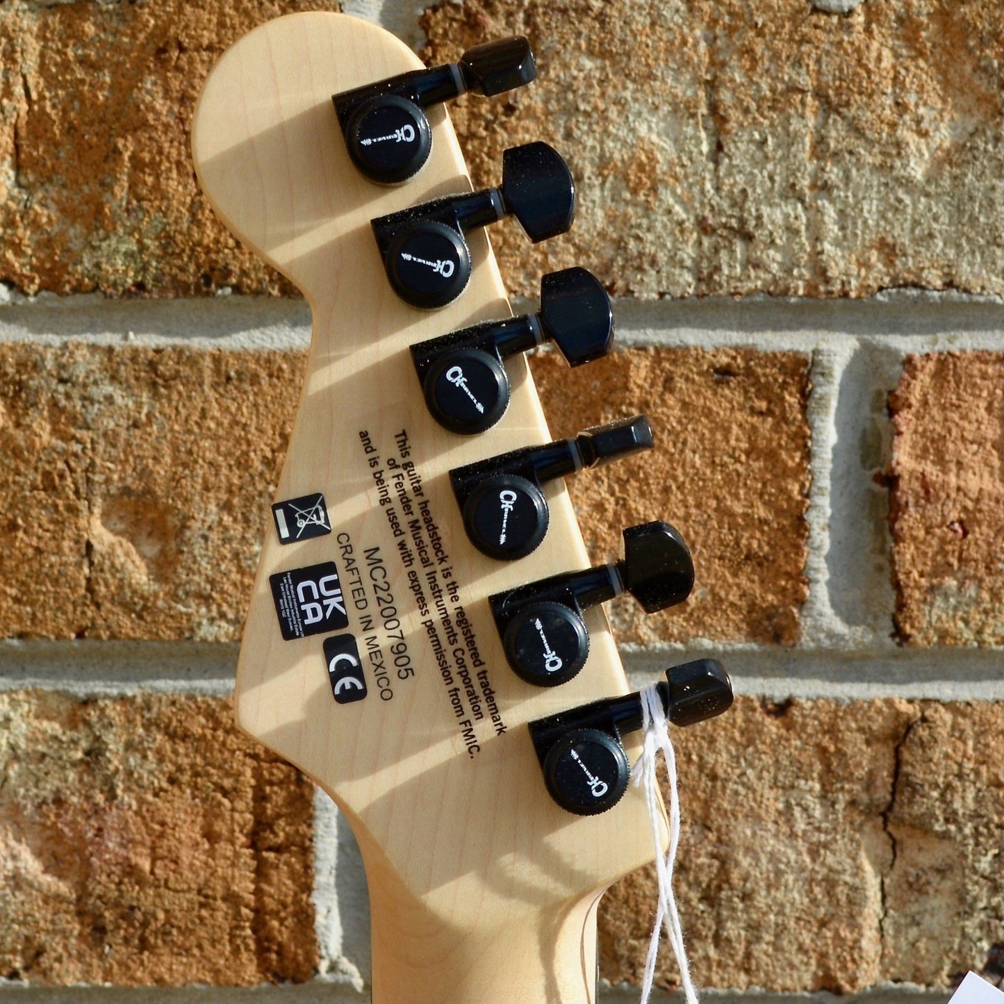 Charvel Pro-Mod DK24 HH HT E Mahogany with Poplar Burl, Ebony Fingerboard, Desert Sand