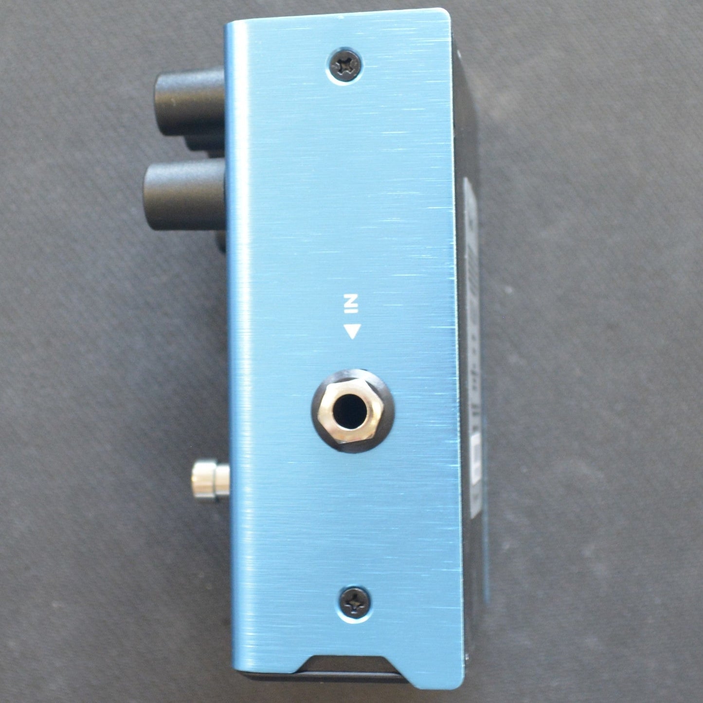 Fender Mirror Image Delay