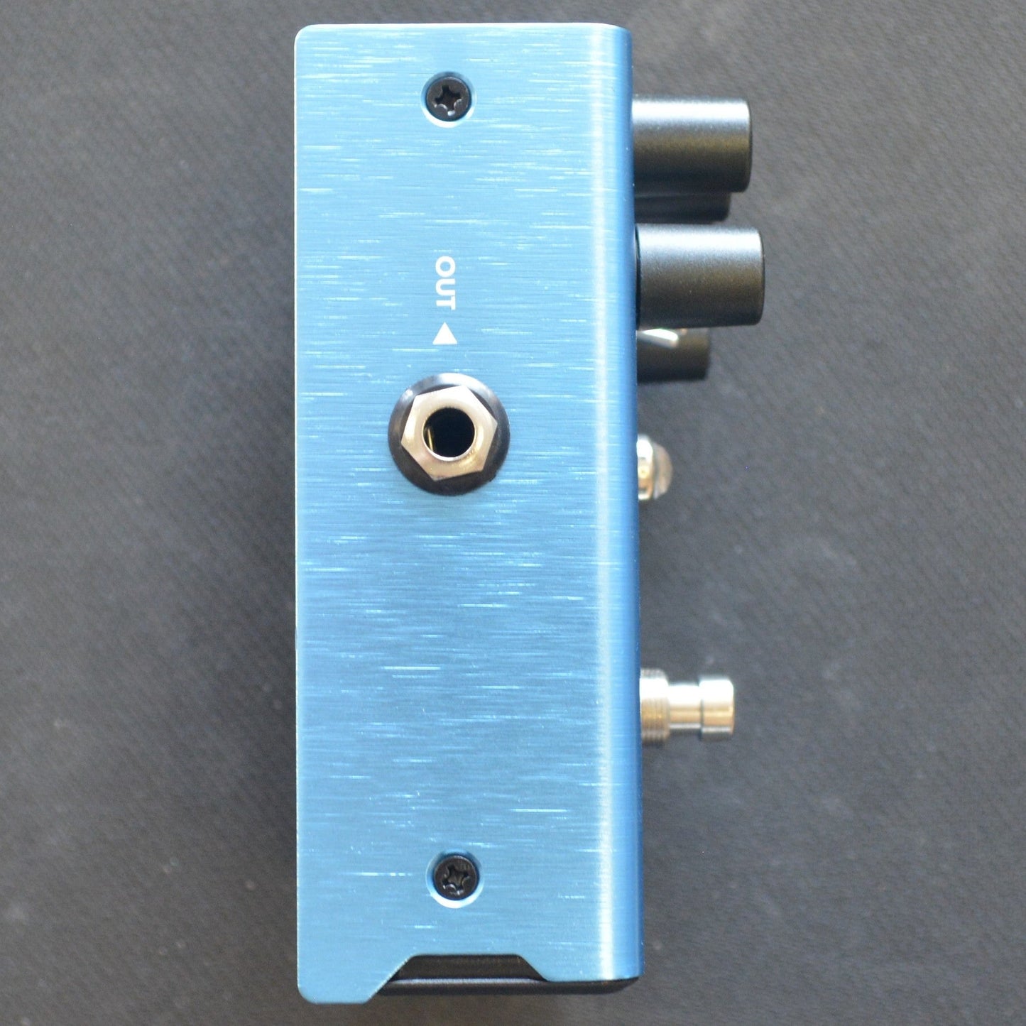 Fender Mirror Image Delay