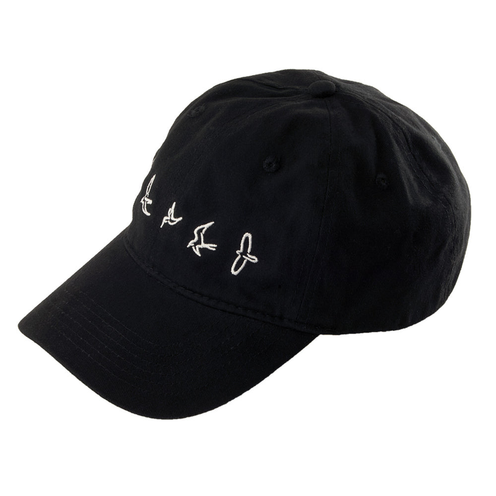 PRS Low-Profile Baseball Hat
