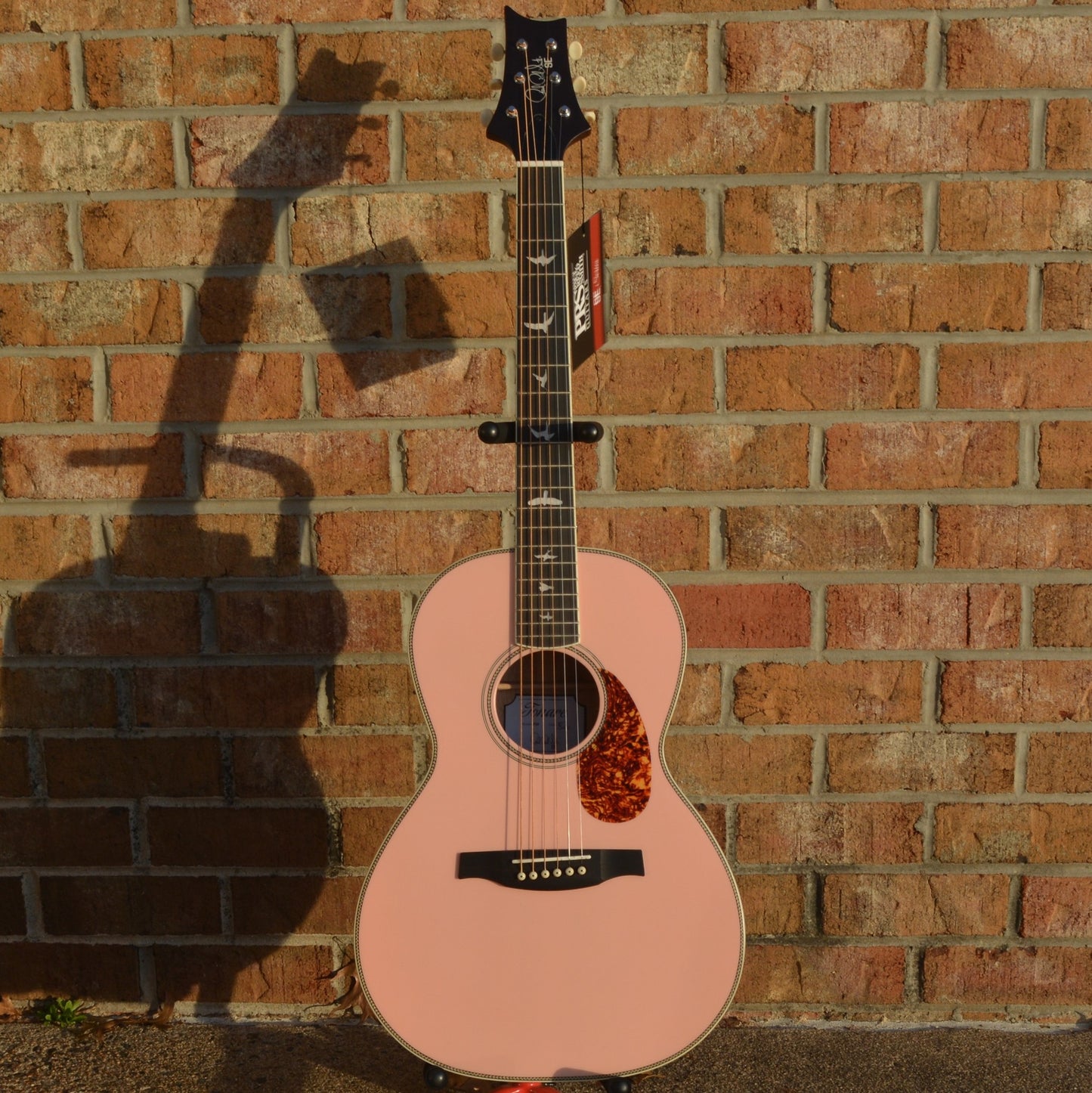Paul Reed Smith SE P20E 2021 Lotus Pink