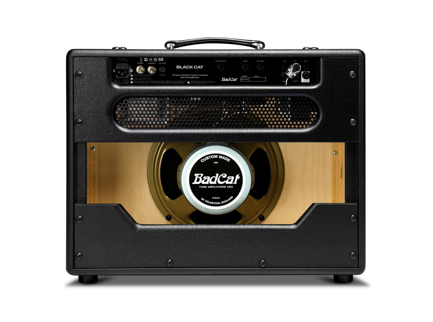 Bad Cat Black Cat 1x12 Combo