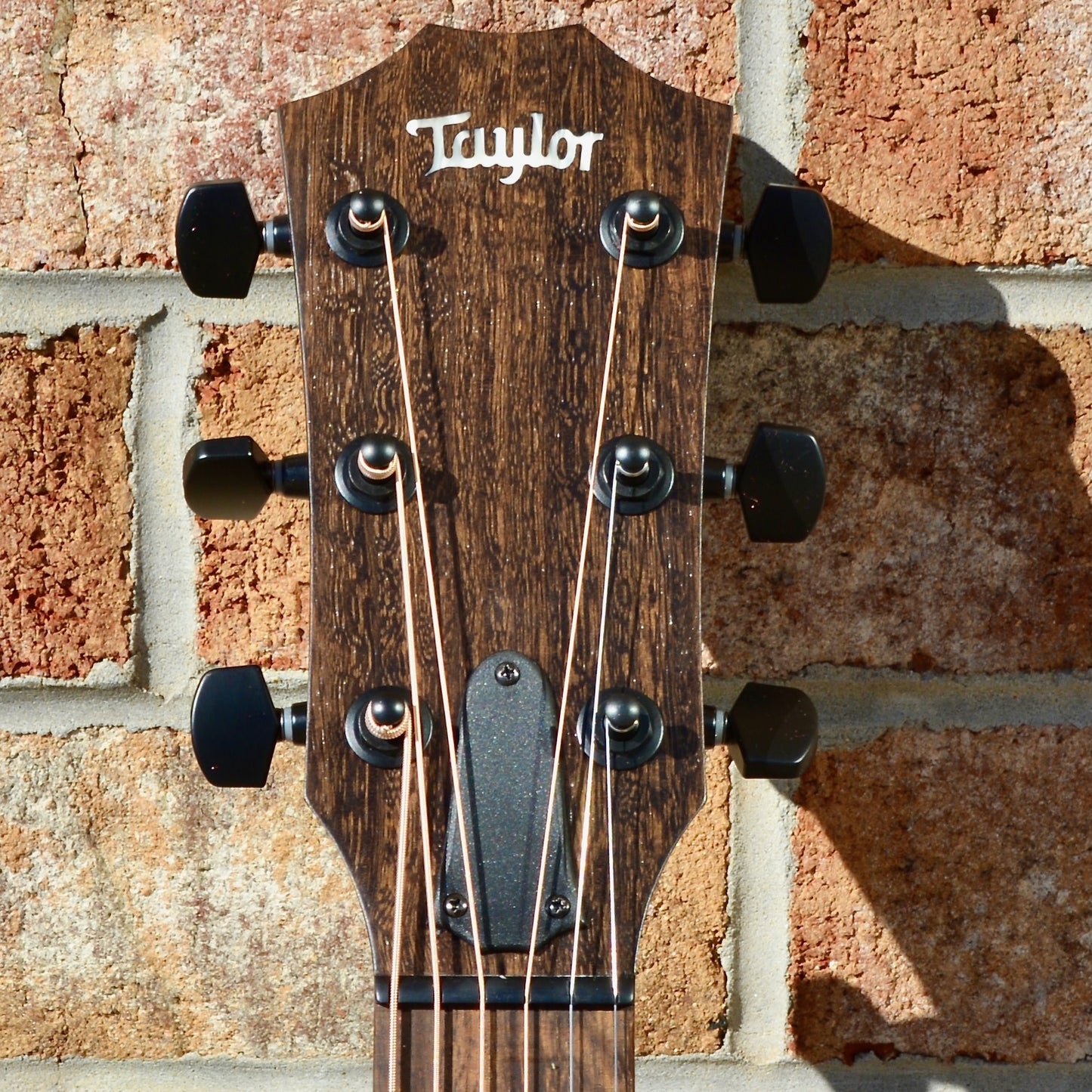 Taylor AD12e-SB