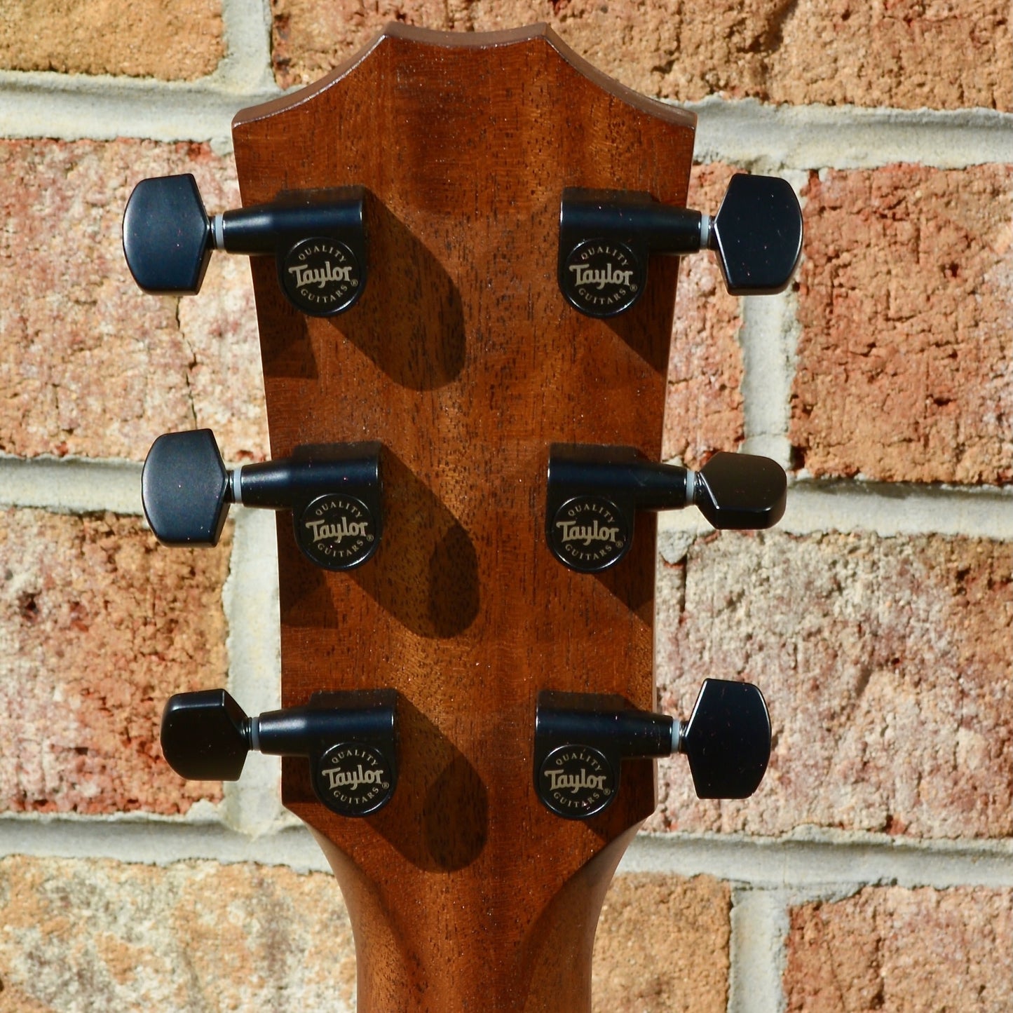 Taylor AD12e-SB