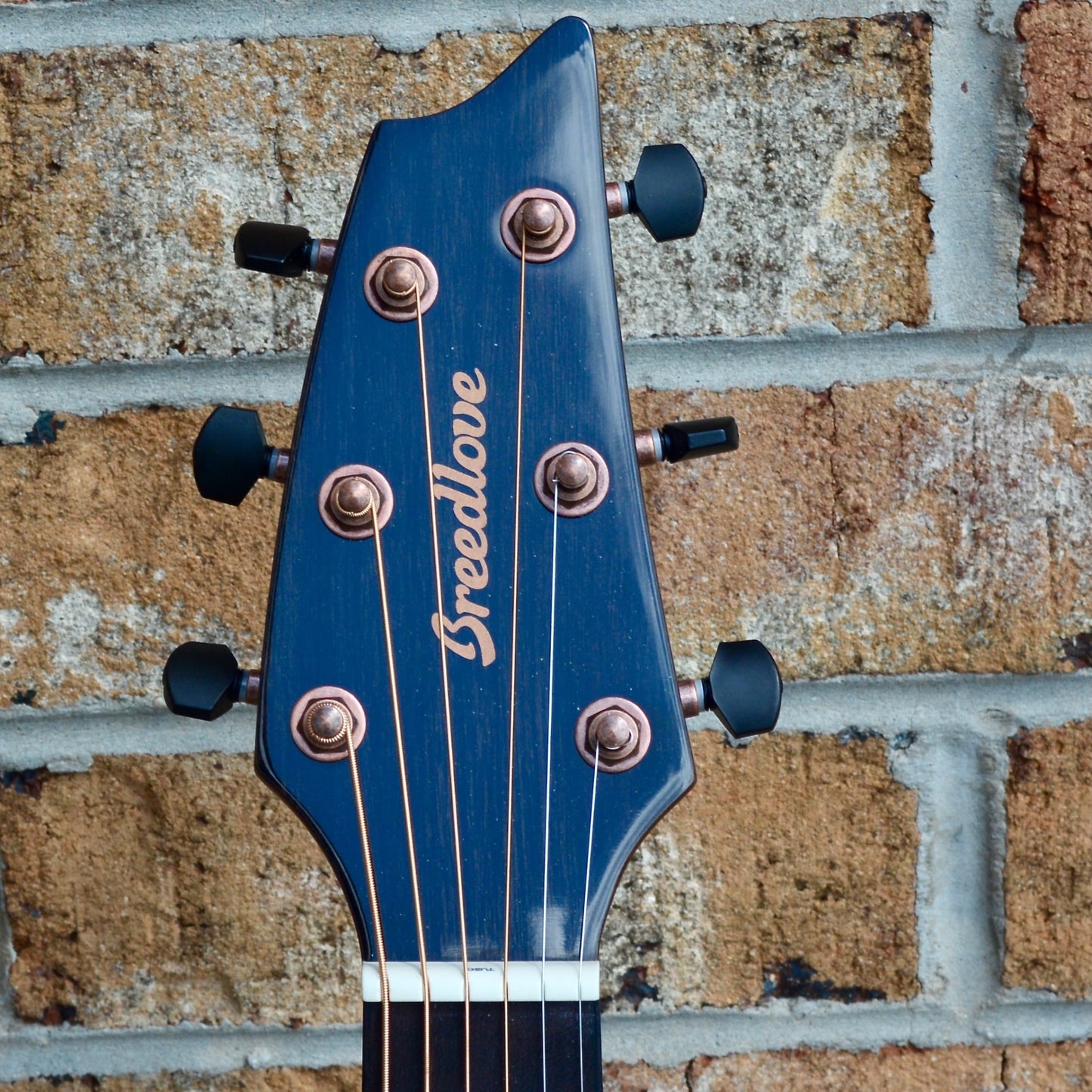 Breedlove Pursuit Exotic S Concert Bourbon CE