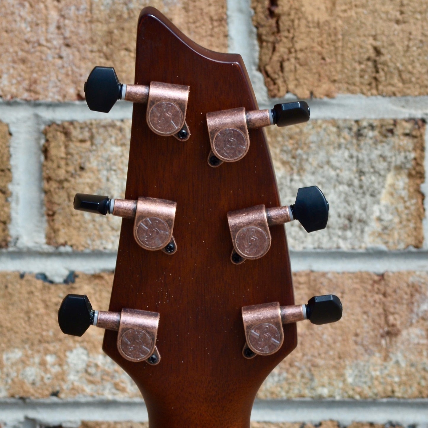 Breedlove Pursuit Exotic S Concert Bourbon CE