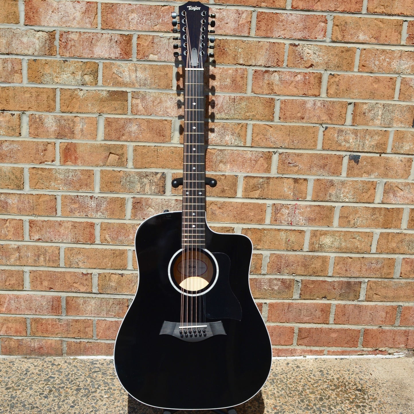 Taylor 250ce-BLK DLX