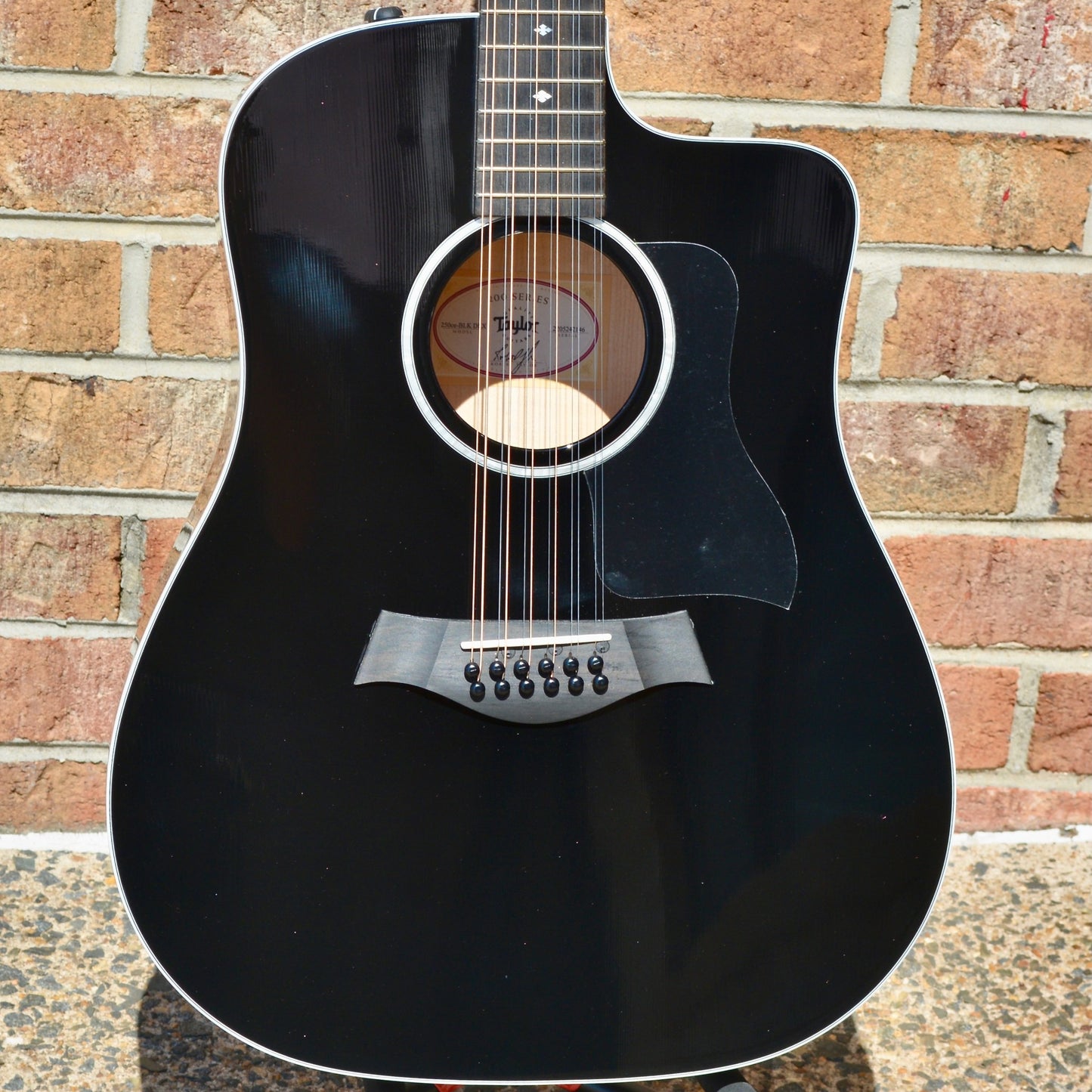 Taylor 250ce-BLK DLX