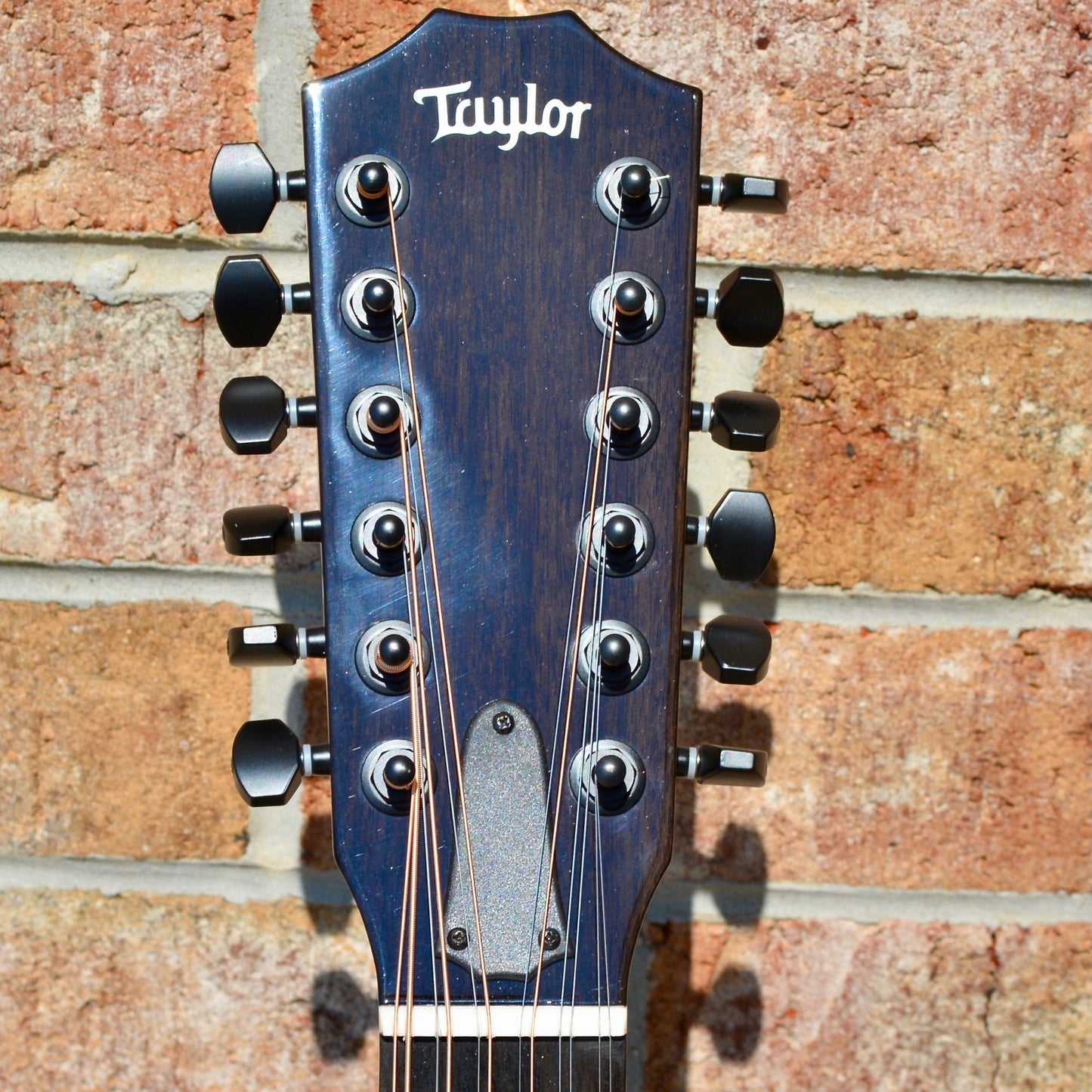 Taylor 250ce-BLK DLX