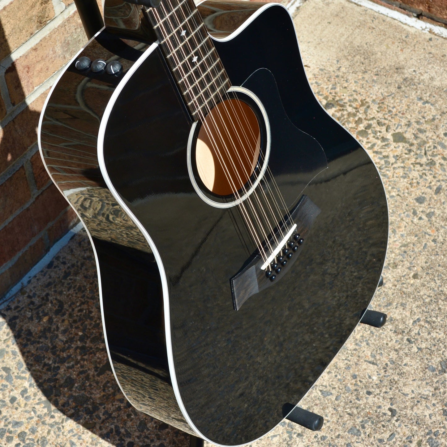 Taylor 250ce-BLK DLX