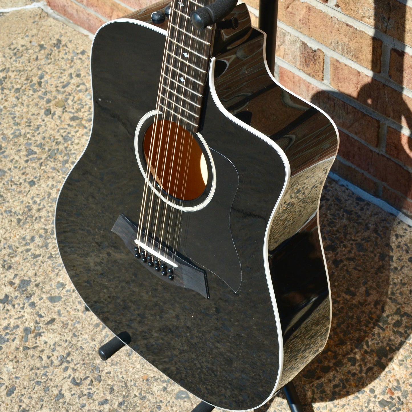 Taylor 250ce-BLK DLX