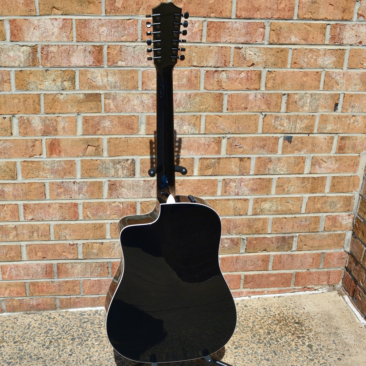 Taylor 250ce-BLK DLX