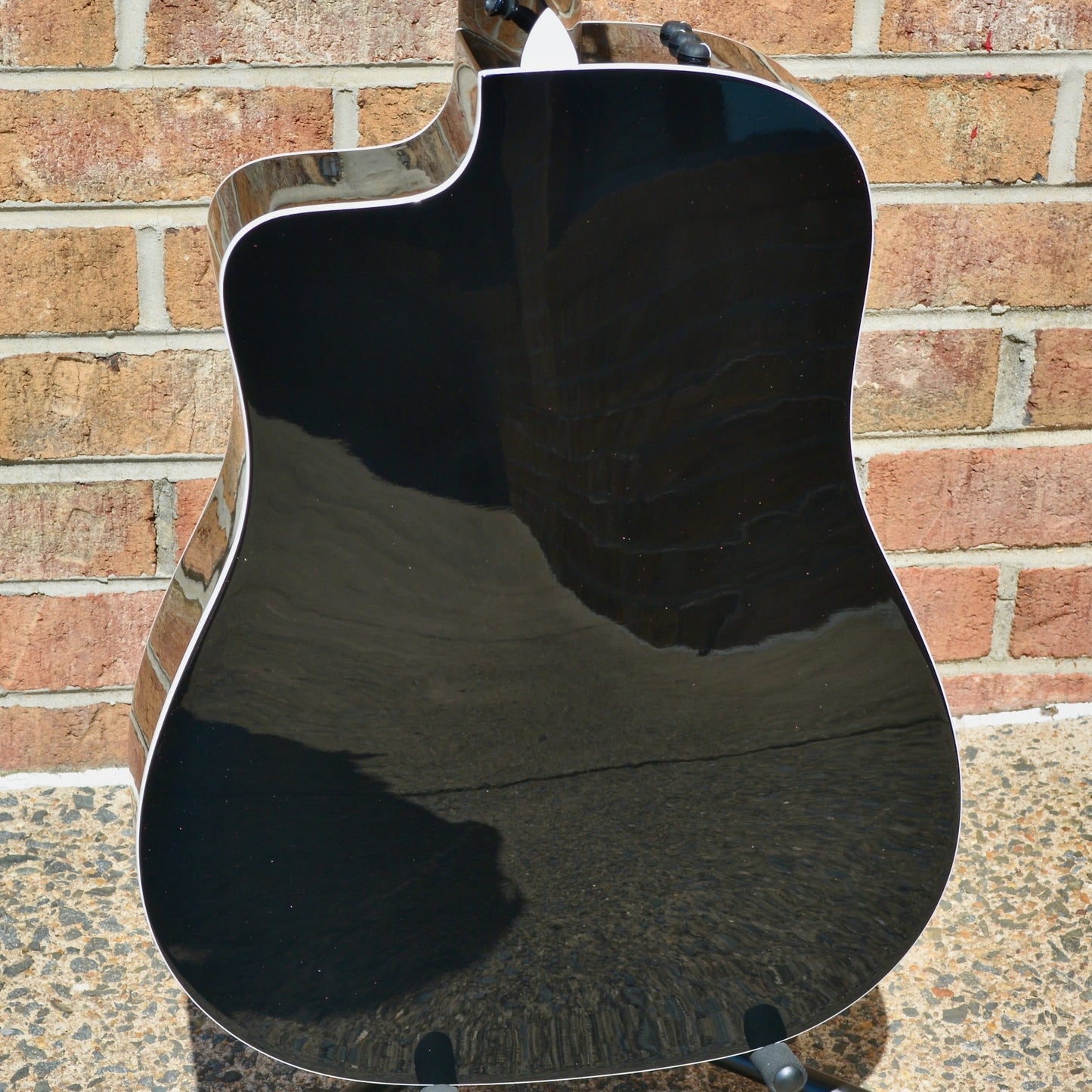 Taylor 250ce-BLK DLX