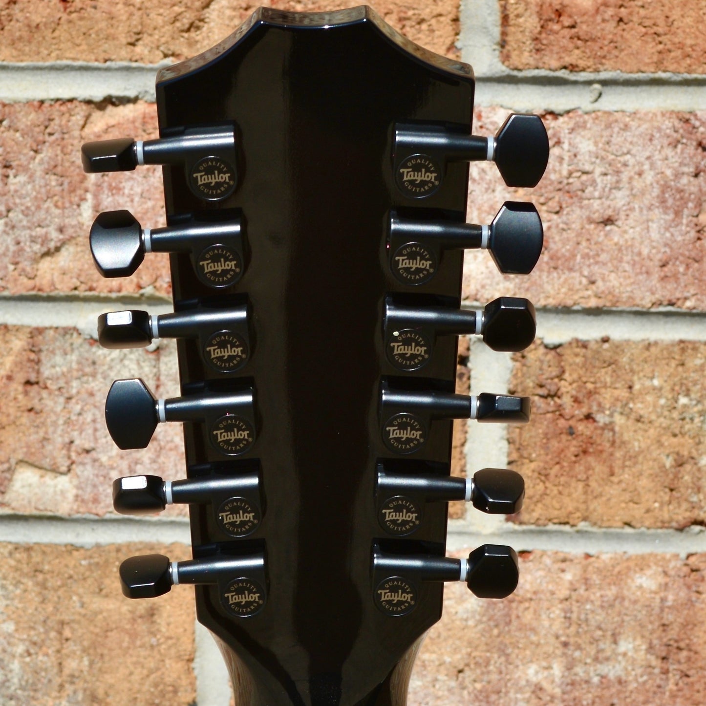 Taylor 250ce-BLK DLX
