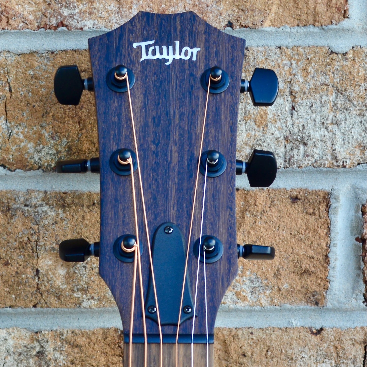 Taylor AD12e-SB