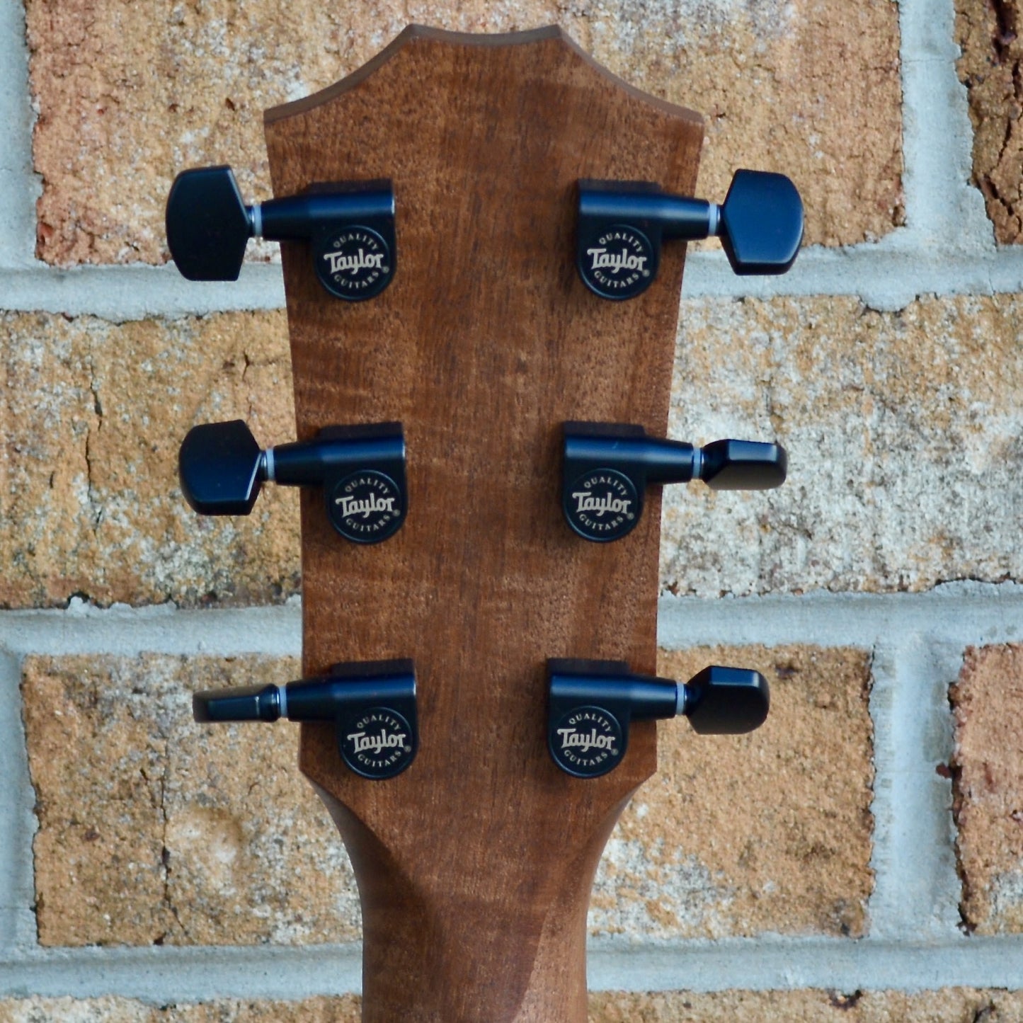 Taylor AD12e-SB