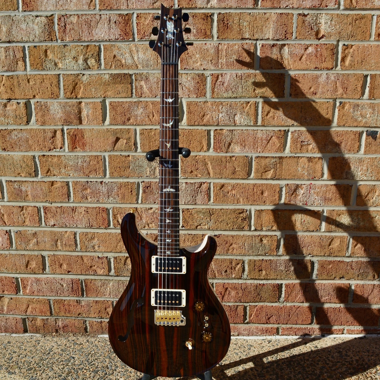 PRS Private Stock 24/08 Semi-Hollow Macassar Ebony/Swamp Ash