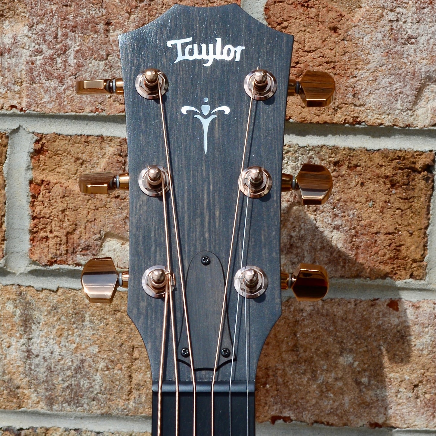 Taylor 724ce