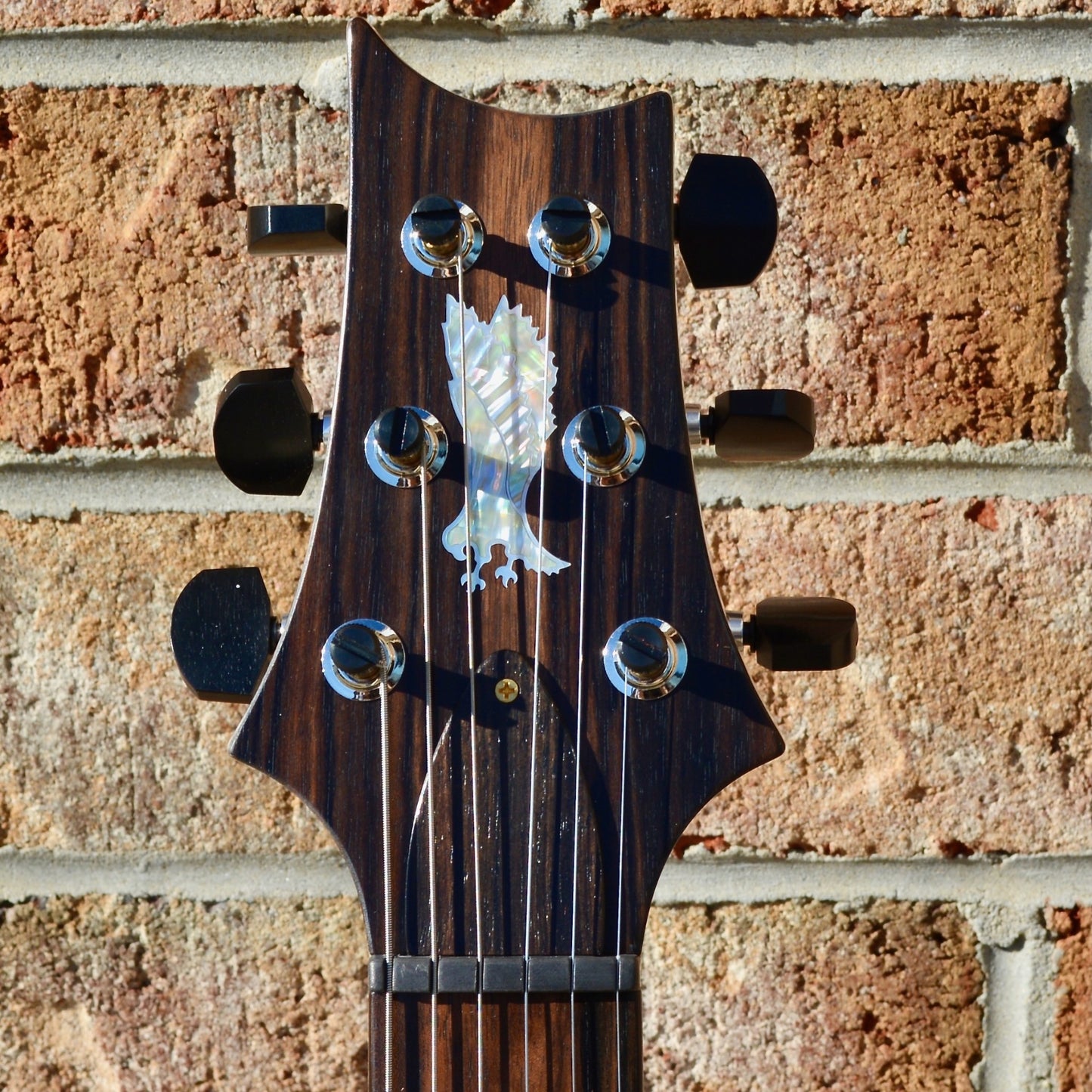 PRS Private Stock 24/08 Semi-Hollow Macassar Ebony/Swamp Ash
