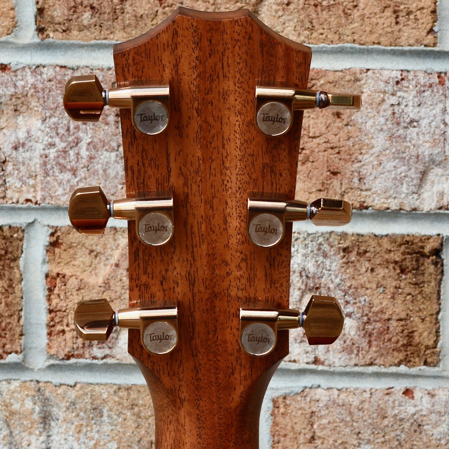 Taylor 724ce