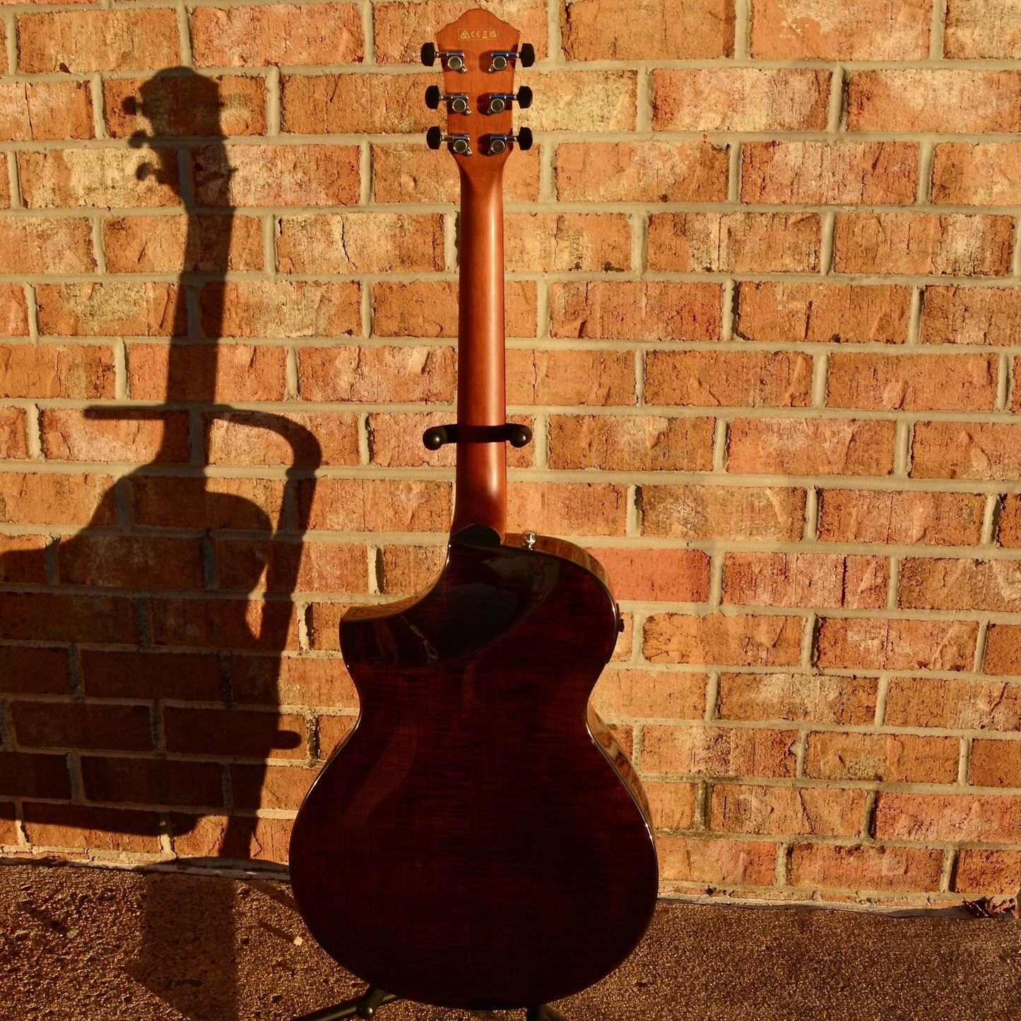 Ibanez USED AEW300-NNB