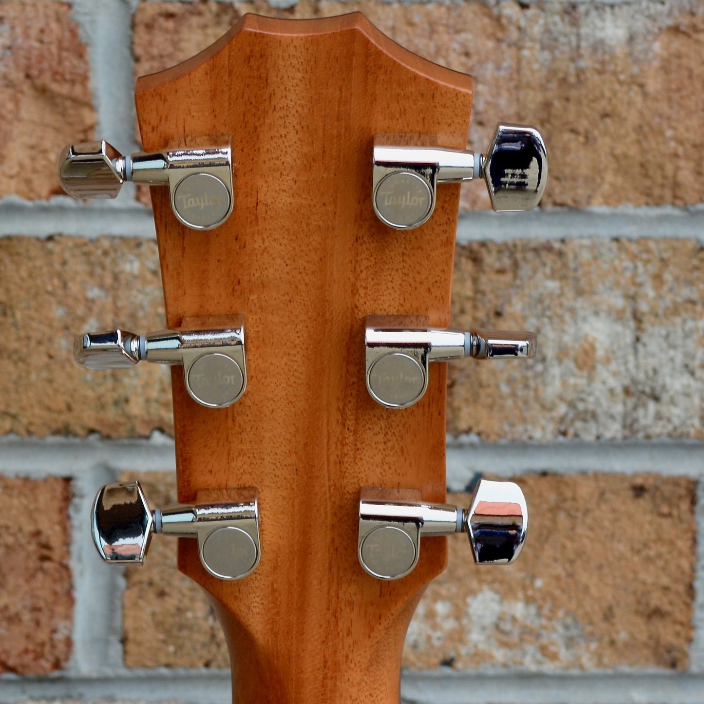 Taylor 414ce LTD Sinker Redwood// Rosewood