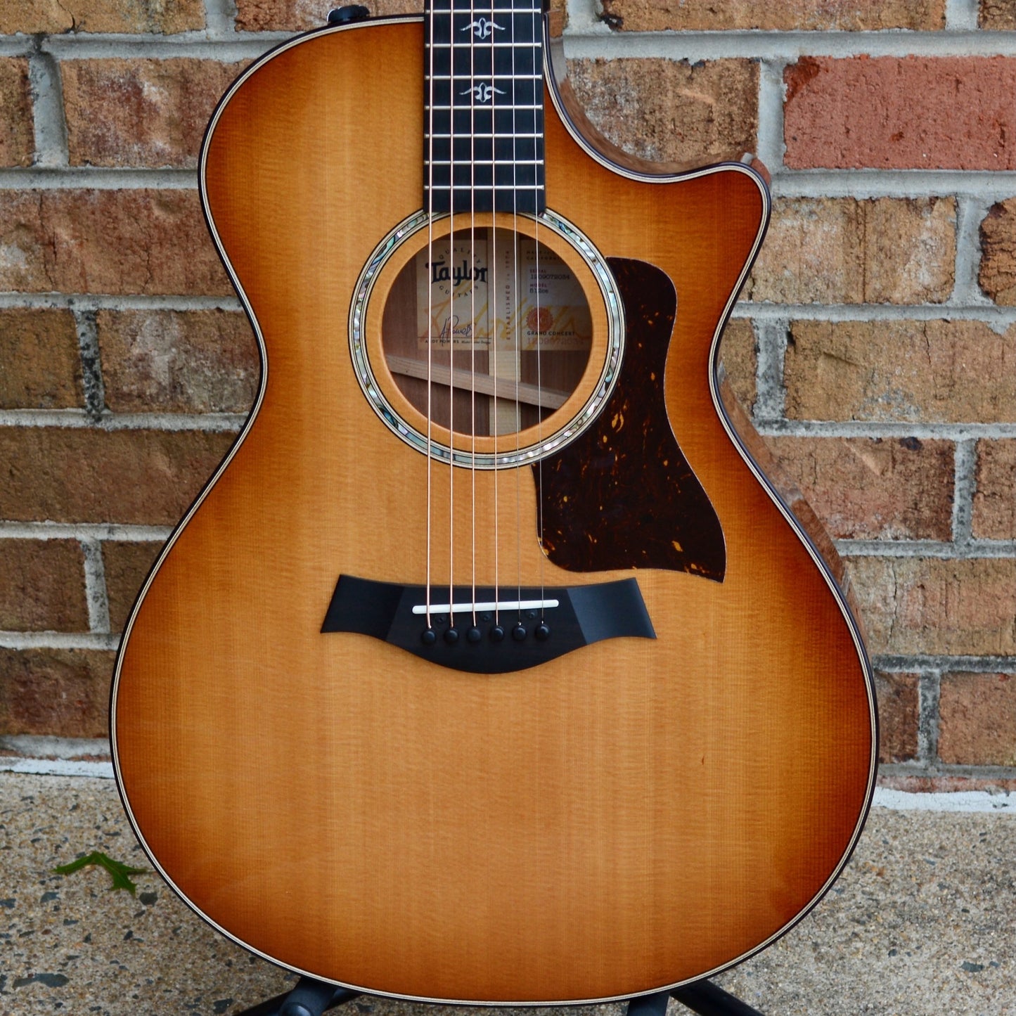 Taylor 512ce
