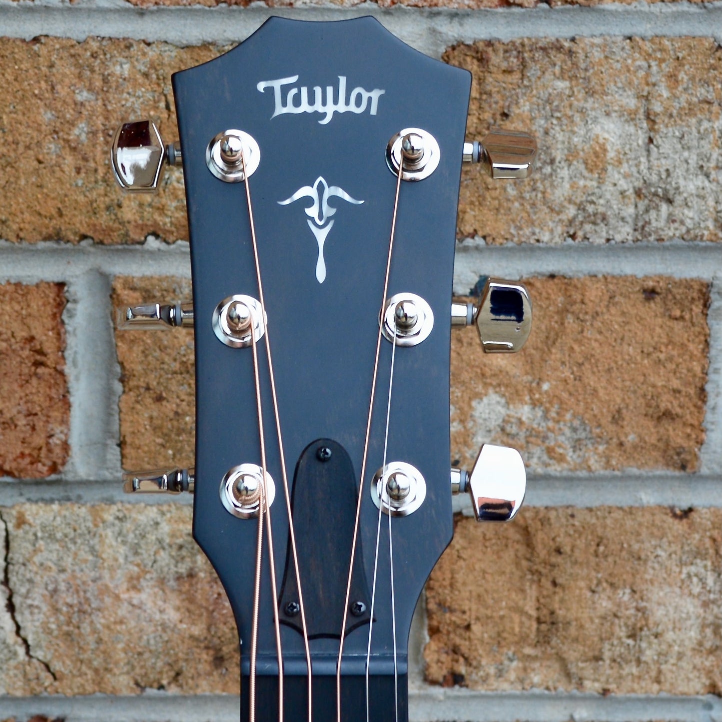 Taylor 512ce