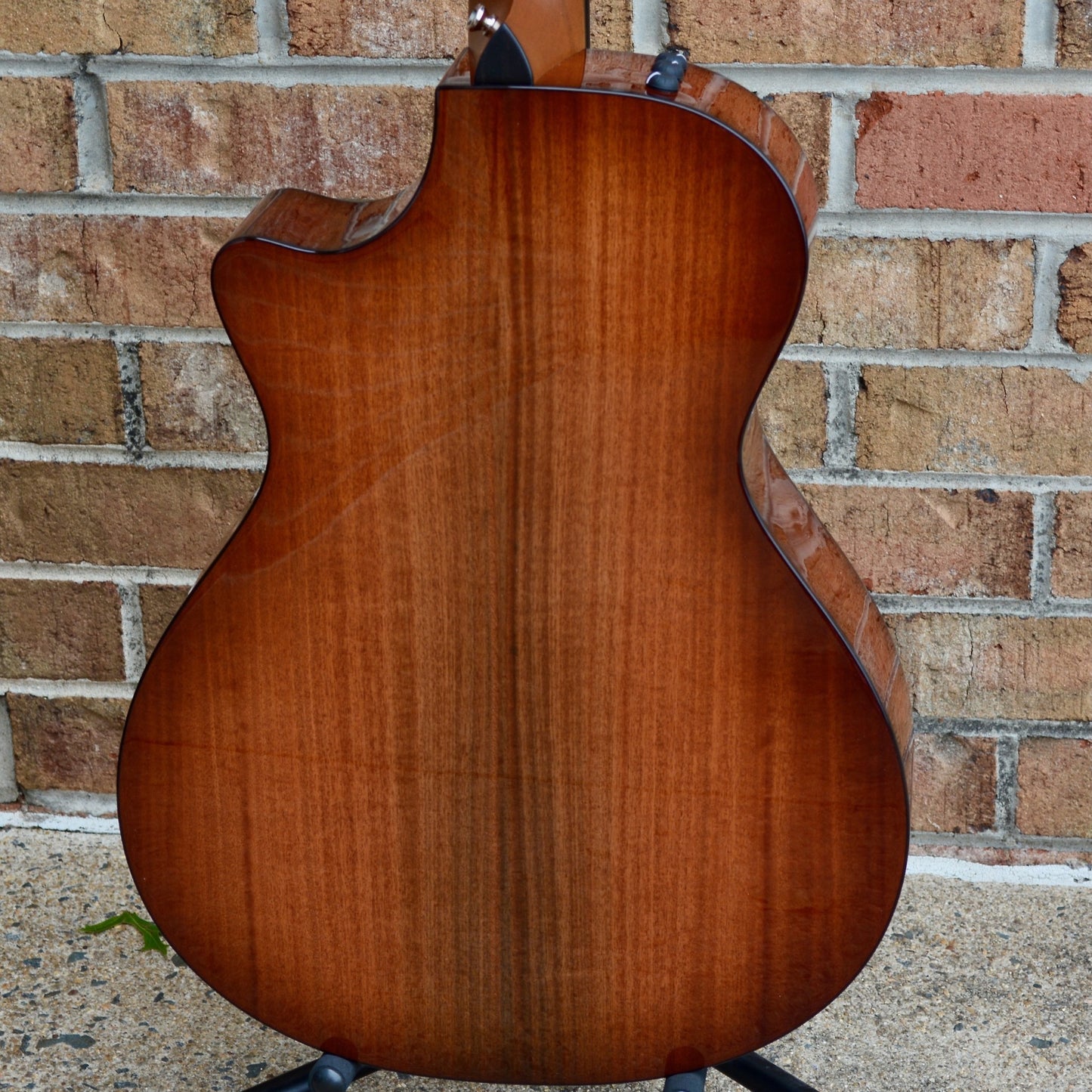 Taylor 512ce