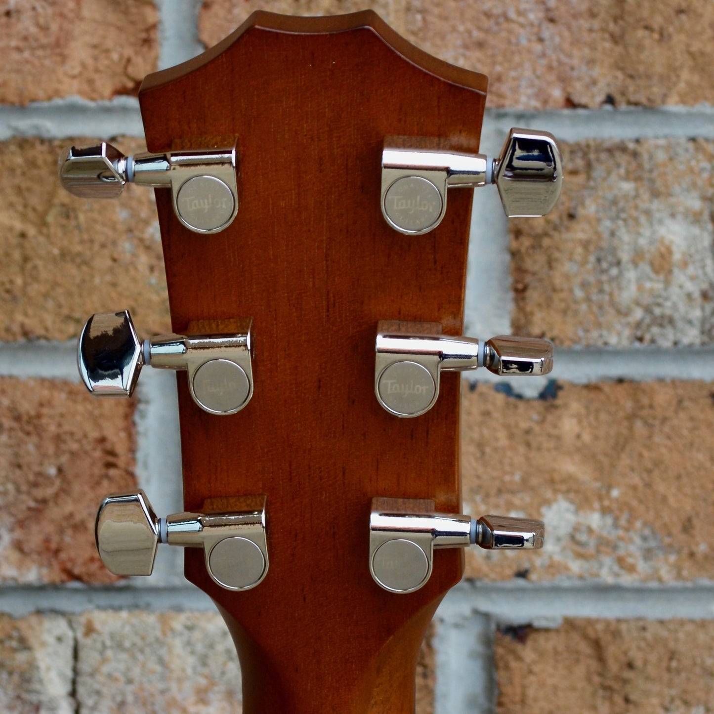 Taylor 512ce