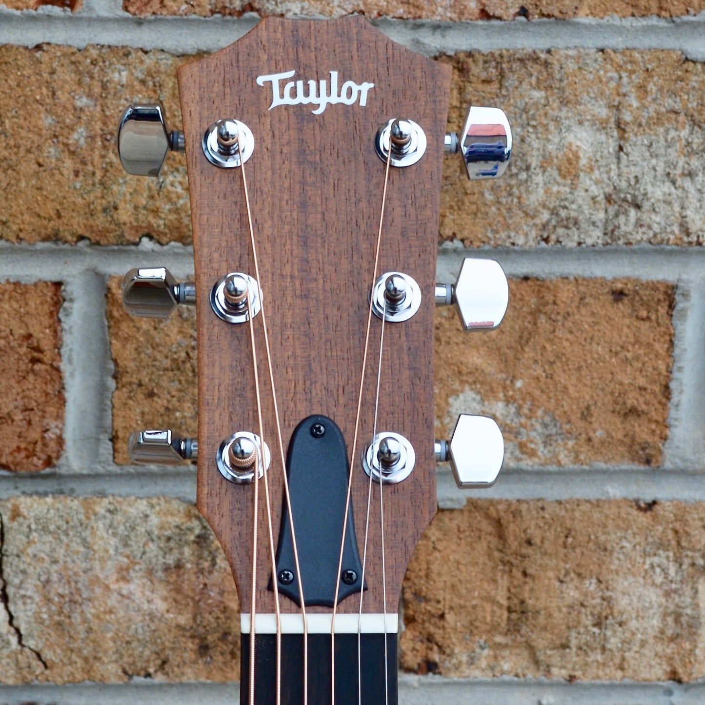 Taylor Academy 12e