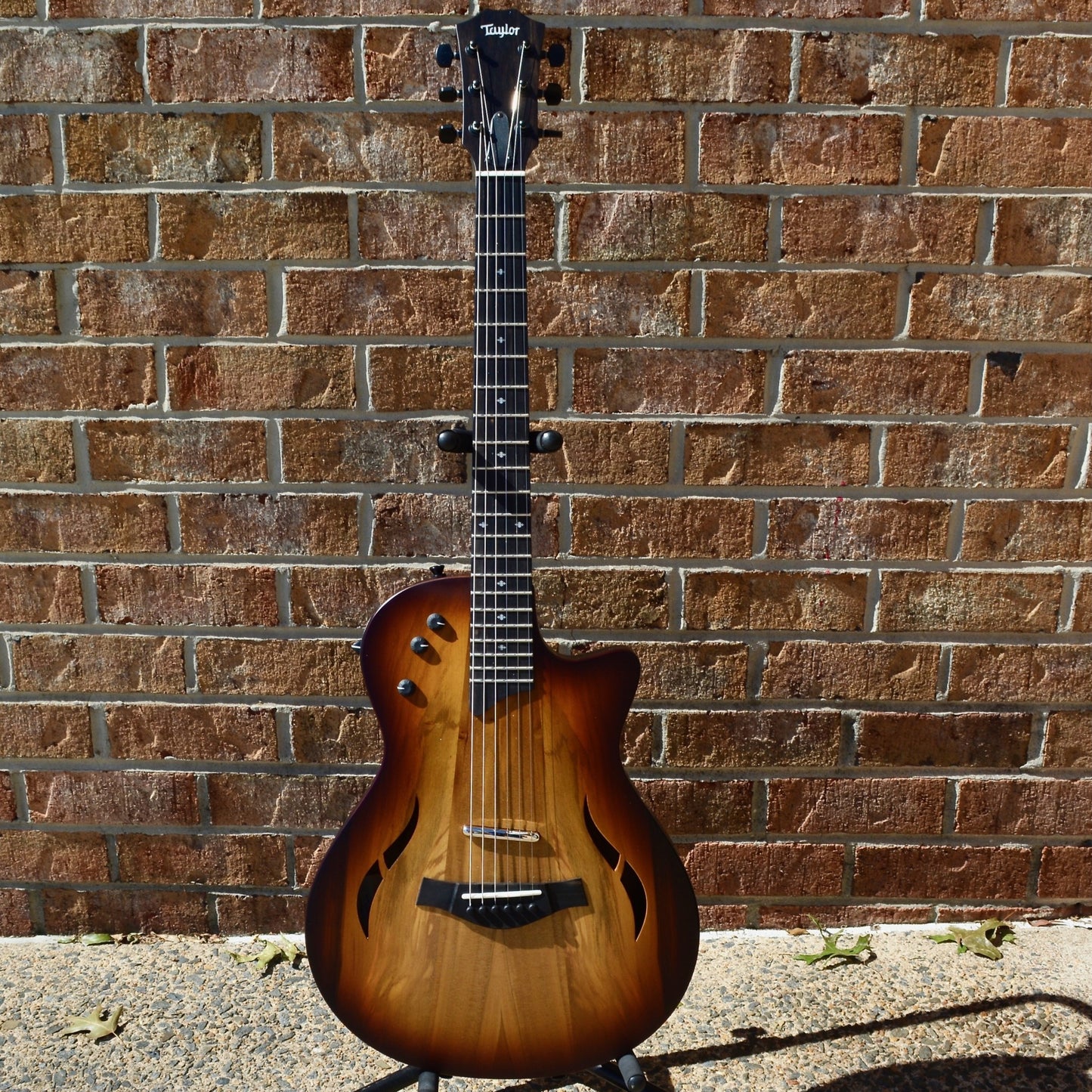 Taylor T5z Classic - Sassafras