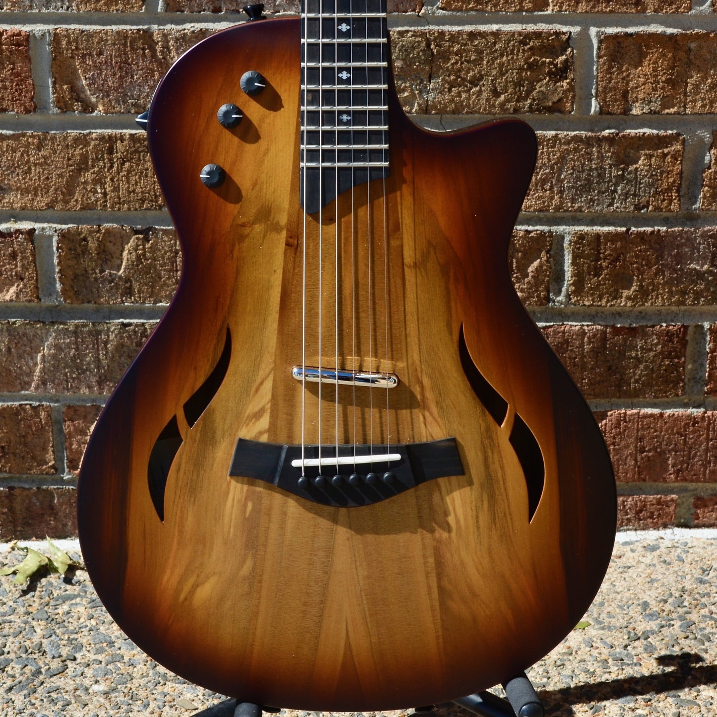 Taylor T5z Classic - Sassafras