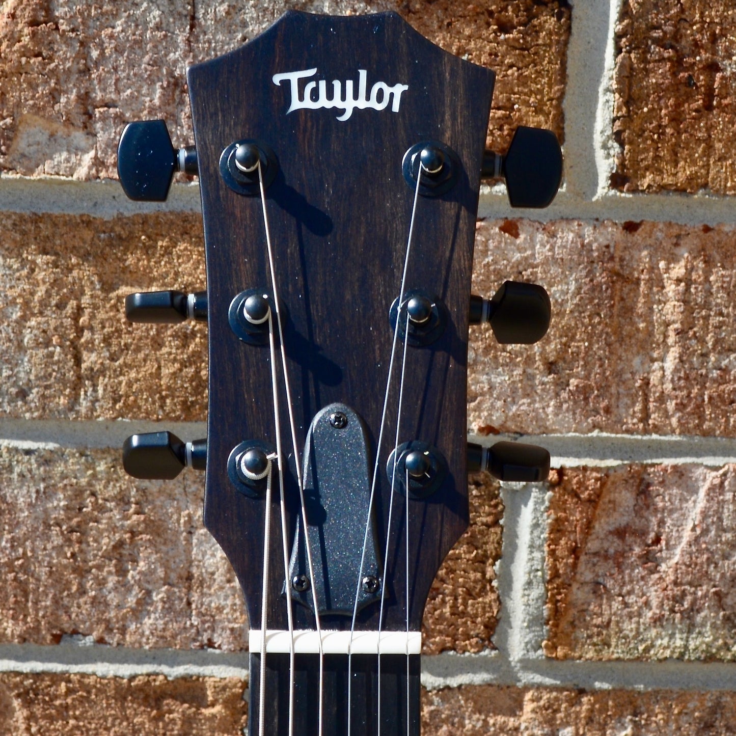 Taylor T5z Classic - Sassafras