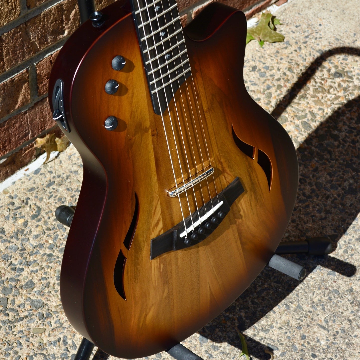Taylor T5z Classic - Sassafras