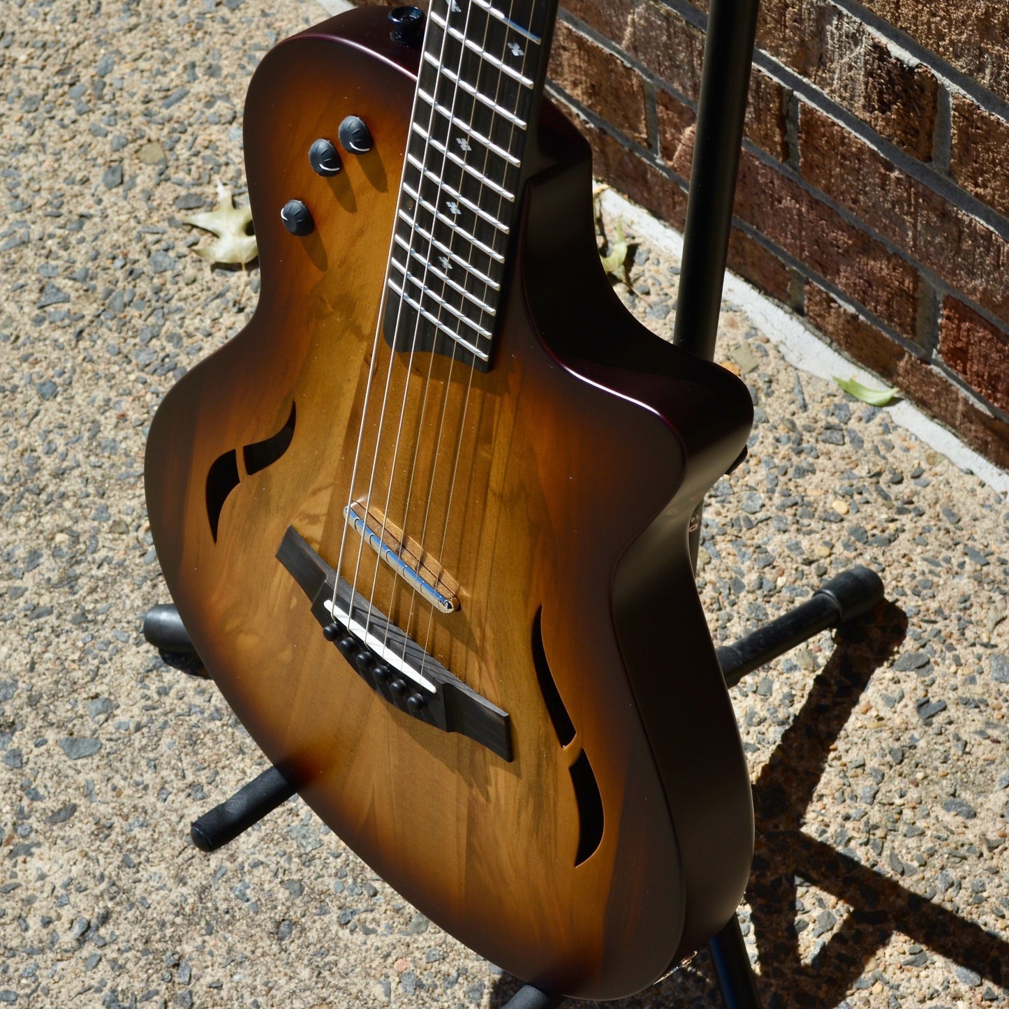 Taylor T5z Classic - Sassafras