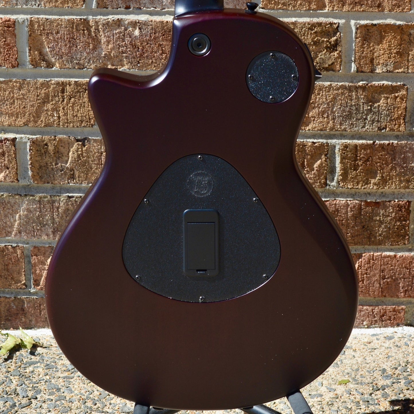 Taylor T5z Classic - Sassafras