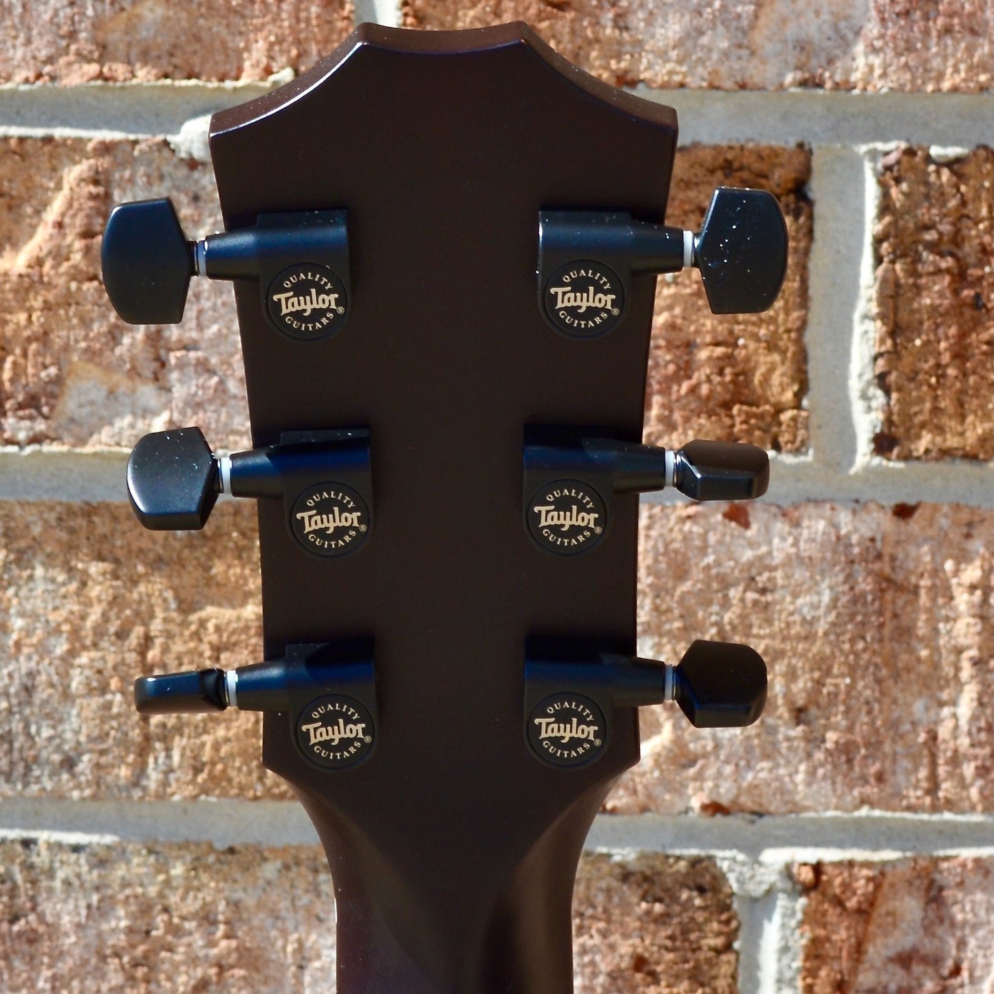 Taylor T5z Classic - Sassafras