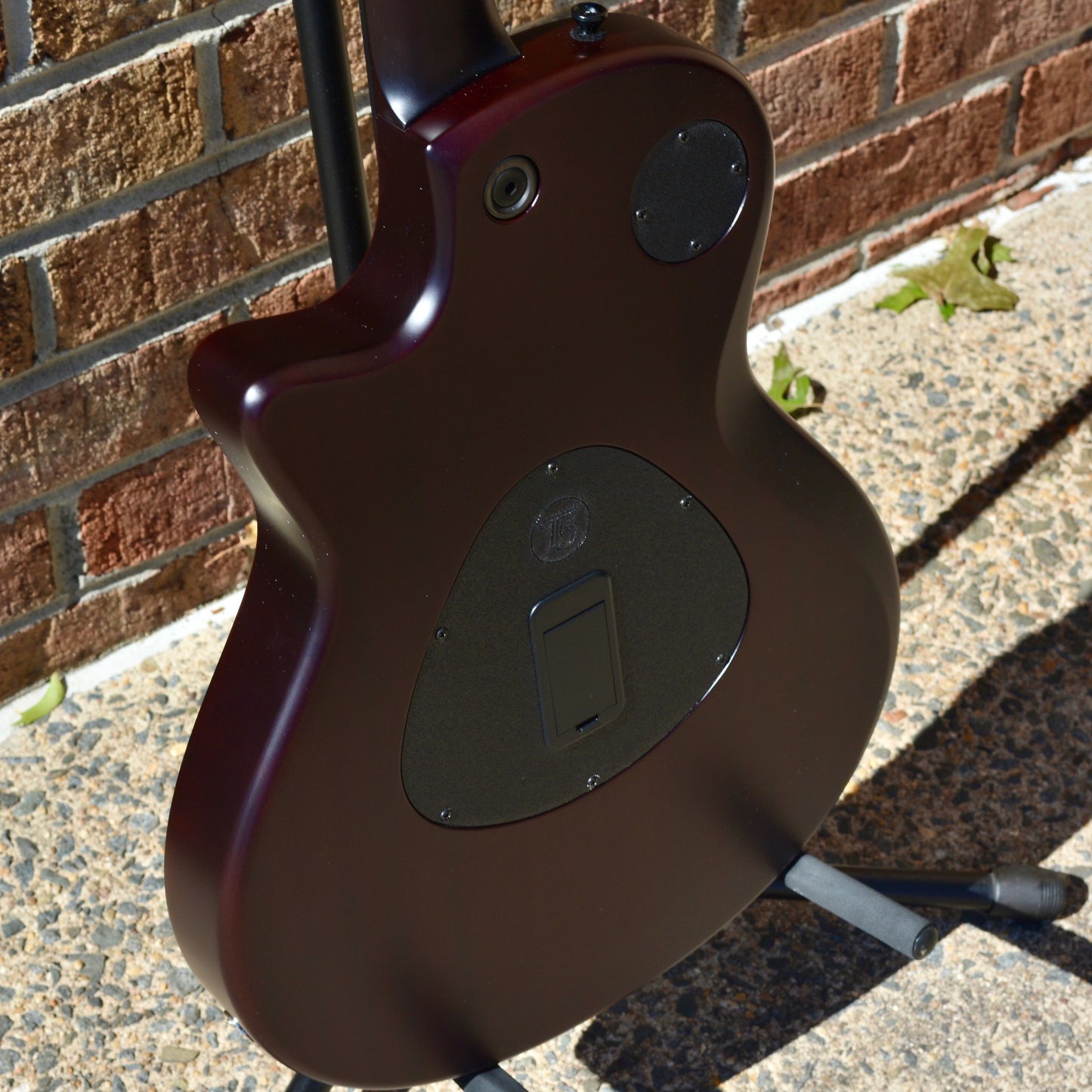Taylor T5z Classic - Sassafras