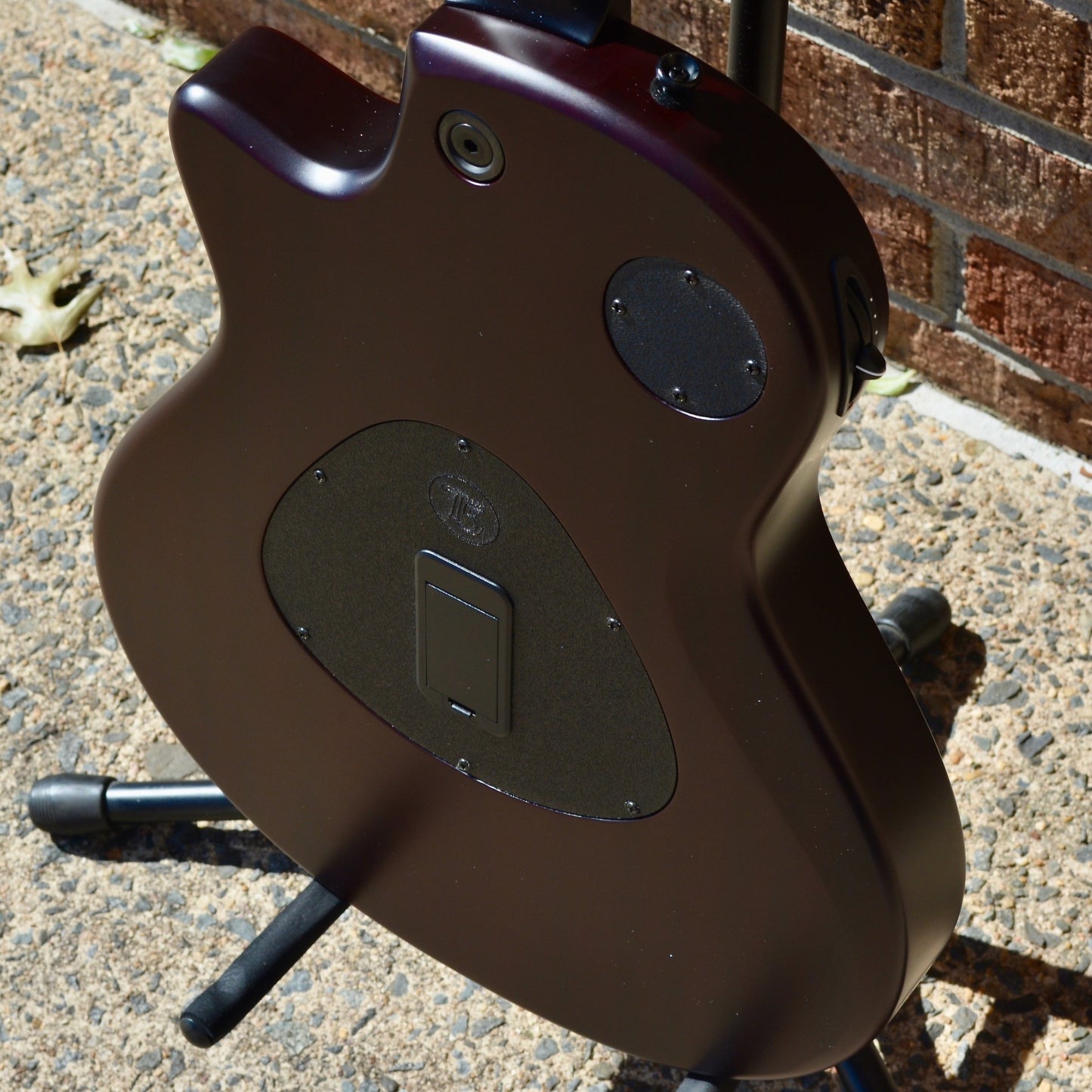 Taylor T5z Classic - Sassafras