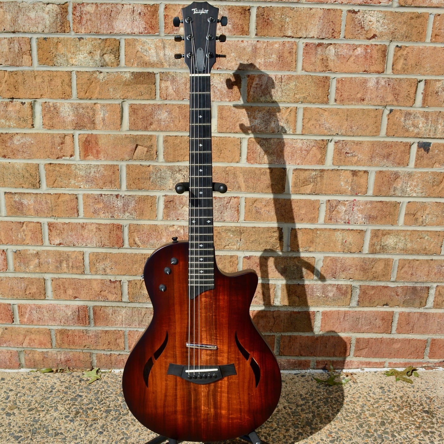 Taylor T5z Classic-Koa