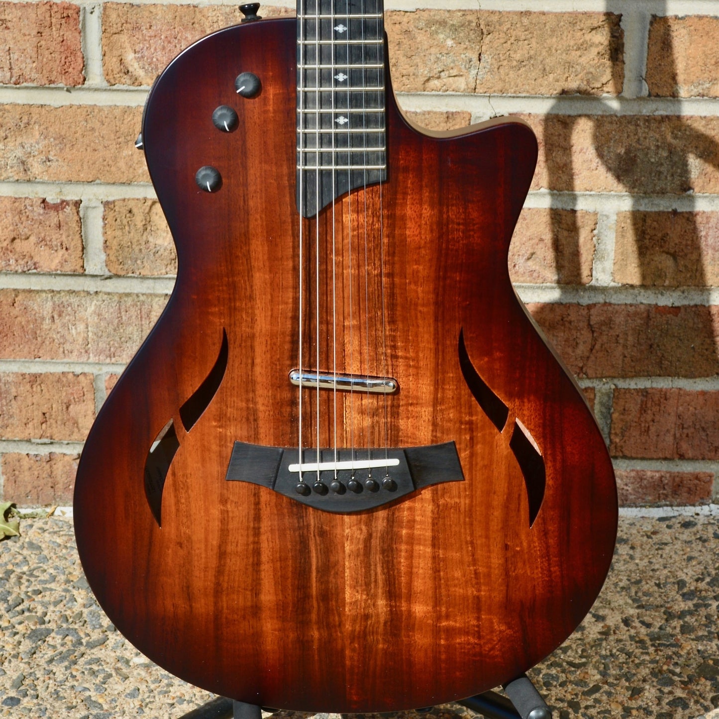 Taylor T5z Classic-Koa