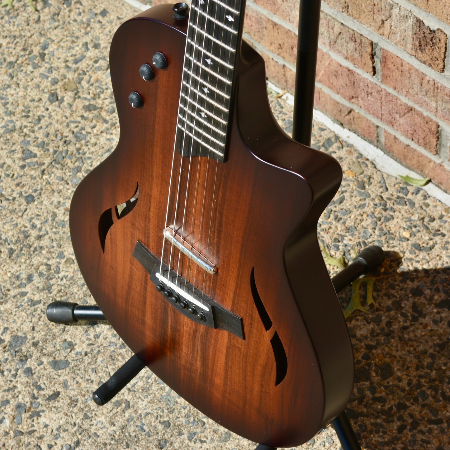 Taylor T5z Classic-Koa