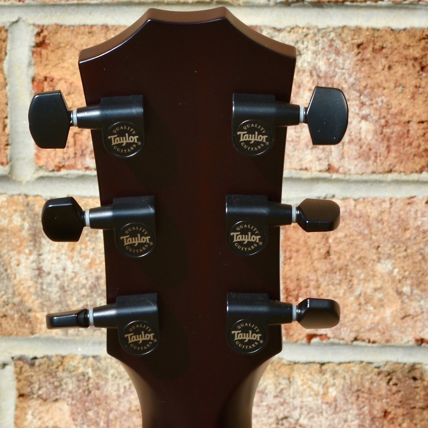 Taylor T5z Classic-Koa