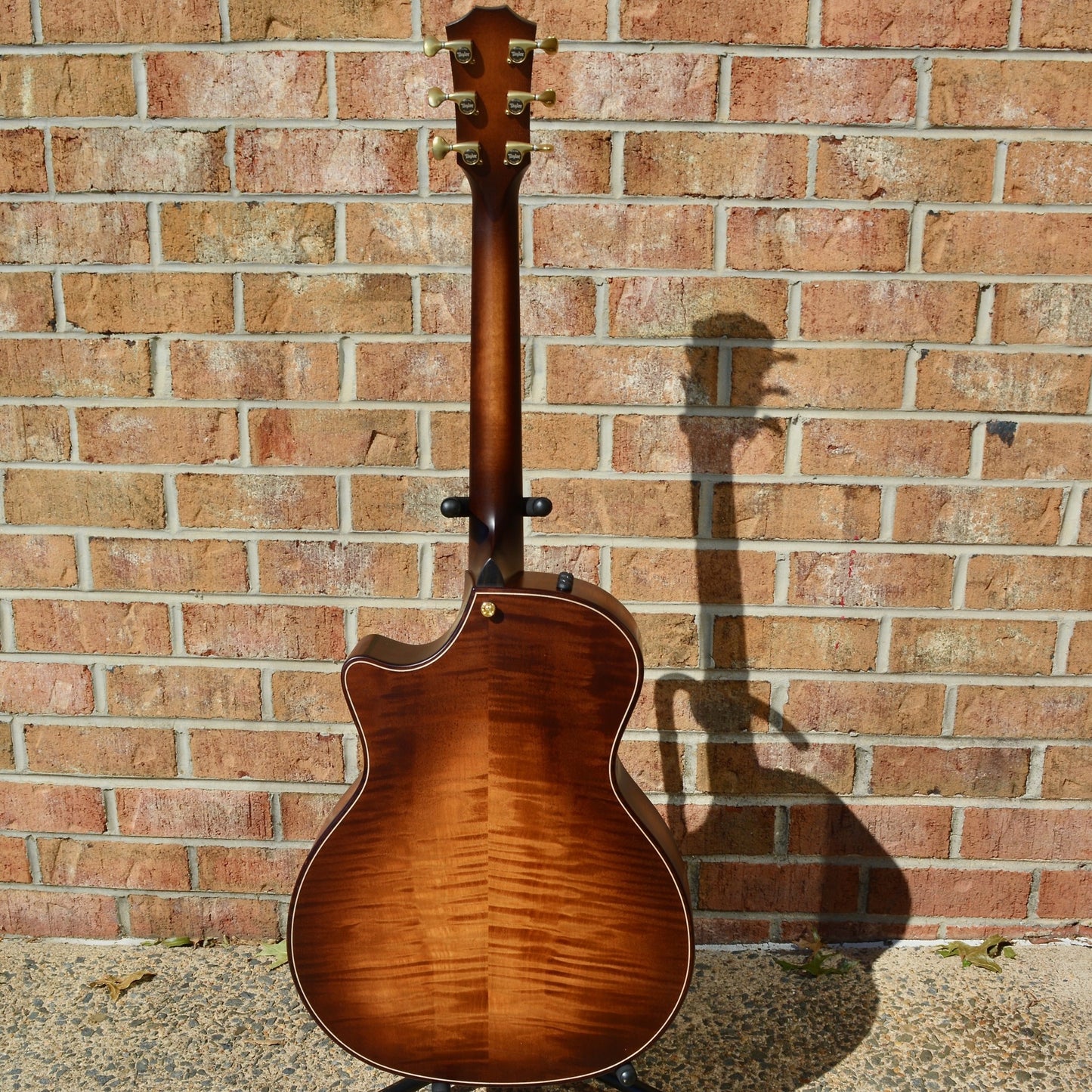 Taylor Builder's Edition 614ce WHB