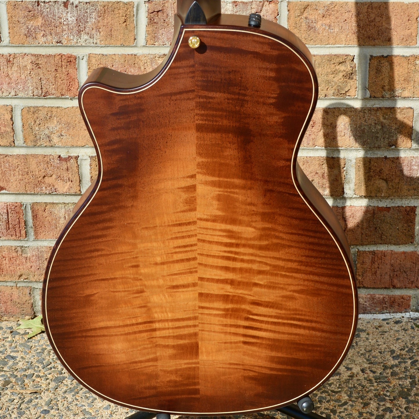 Taylor Builder's Edition 614ce WHB